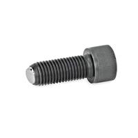 GN 606 Ball Point Screw